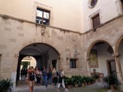171010_Palma008.jpg