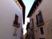 171010_Palma014.jpg