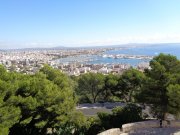 171010_Palma026.jpg