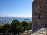 171010_Palma027.jpg