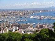171010_Palma031.jpg