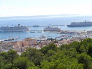 171010_Palma032.jpg