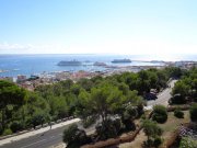 171010_Palma033.jpg