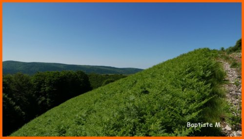 Cliquer pour voir l'image en taille réelle