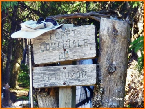 Cliquer pour voir l'image en taille réelle