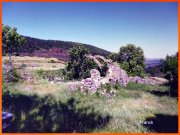 170618_Franck9.jpg