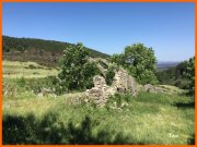 170618_Tex10.jpg
