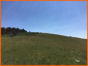 170618_Tex3.JPG