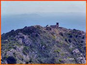 170423_Franck10.jpg