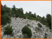 170402_Baptiste16.jpg