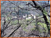 170327_Franck8.jpg