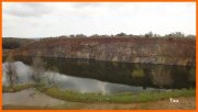 170313_Tex18.JPG