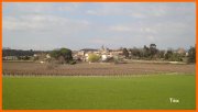170313_Tex20.JPG