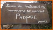 170313_Tex3.JPG