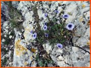 170305_Franck9.jpg