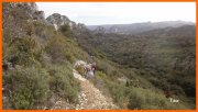 170305_Tex1.JPG