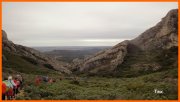 170305_Tex10.JPG