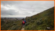 170305_Tex5.JPG