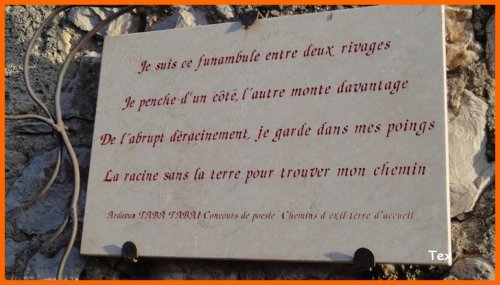 Cliquer pour voir l'image en taille réelle