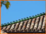 161009_Joss10.JPG
