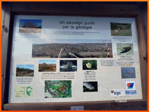 Cliquer pour voir l'image en taille réelle