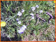 160618_Franck16.jpg