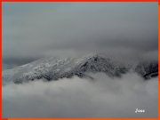 160618_Joss1.JPG