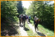 160606_Paul1.jpg