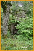 160530_Nadine8.JPG