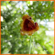 160516_Bapt9.jpg