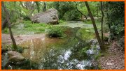 160508_Bapt2.jpg