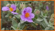 160508_Bapt6.jpg