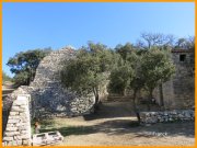 160319_Franck2.jpg