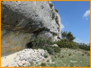 160319_Franck8.jpg