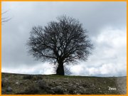 160320_Joss4.JPG