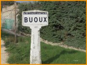 160321_Franck1.jpg