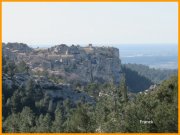 160306_Franck18.jpg