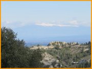 160306_Franck21.jpg