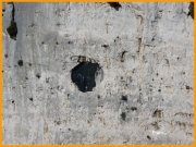 160306_Franck36.jpg