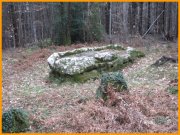 160228_Franck9.jpg
