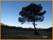 160117_Nad_M13.jpg