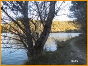 160117_Nad_M7.jpg