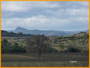 160111_Franck16.jpg