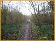 160103_Franck4.jpg
