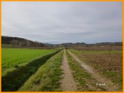 160103_Franck8.jpg