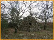 160103_Nad_M44.jpg