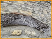 160103_Nad_M9.jpg