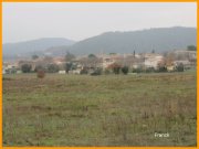 151220_Franck13.jpg