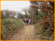 151220_Franck14.jpg