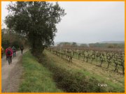151220_Franck2.jpg